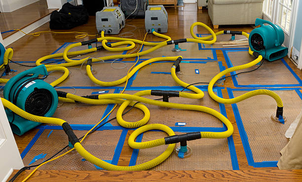 Professional Water Damage Repair technician working in Ithaca, MI
